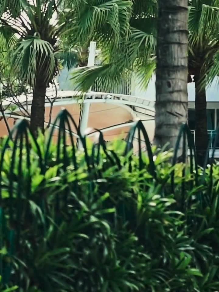 Tropical palms in a resort garden